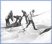 Chasseurs  l'oeuvre - 
Archives nationales du Canada - PA 129900