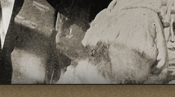 Dr. Robert Bell aboard S.S. Diana during the Wakeham Expedition