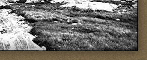  Fort Chimo, 1896