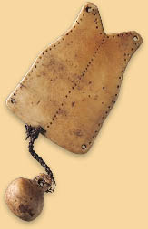 Ear Ornament