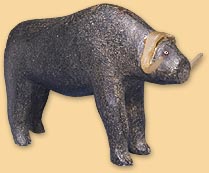 Musk Ox