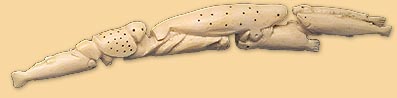Carved Ivory Tusk
