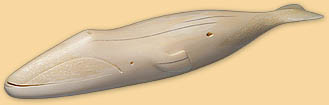 Harpooned Bowhead Whale
