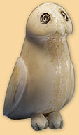 Owl Owl