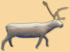 Caribou