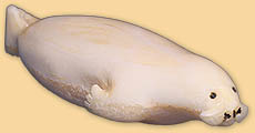 Seal Seal