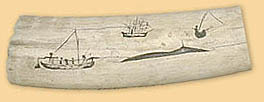 Whale Hunt
