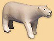 Ours polaire Ours polaire