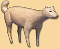 Chien Chien