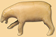 Ours polaire Ours polaire
