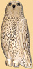Harfang (pendentif) Harfang (pendentif)