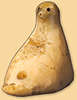 Oiseau Oiseau