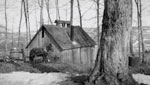Homme avec cheval et chariot prs d'une cabane  sucre, Qubec, 1926., © MCC/CMC, Frank Oliver Call, Pr2002-9