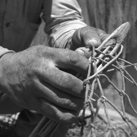 Fisherman gutting fish, [19--]., © CMC/MCC, J-15135