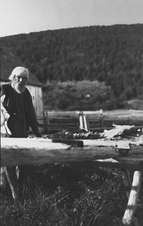 Robert Price empilant des flocons de morues schs sur des vigneaux  Grande-Grave, Gasp, Qubec, 1922., © MCC/CMC, Marius Barbeau, 57305