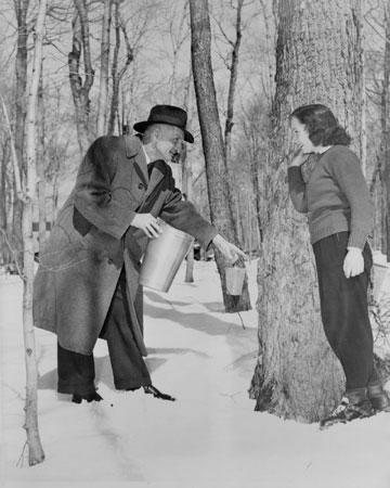 Homme expliquant le processus de collecte de l'eau d'érable, Québec, c.1945., © MCC/CMC, J4335