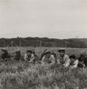 Group of boys teasing girls as they play a game of baseball on the last day of school (June 1952), Oak River Indian Reserve, Manitoba, © CMC/MCC, Wilson D. Wallis / Ruth Sawtell, PR2005-108