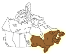 Woodlands & Eastern Subarctic
