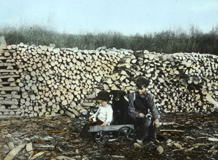 Le Manitoba a toujours beaucoup de bois de chauffage, © MCC/CMC, M.2.1.1 LS