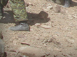 SECURING THE LANDING - Photo: Stephen Thorne/Canadian Press