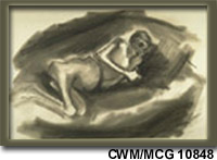 Concentration Camp - Typhus CWM/MCG 10848