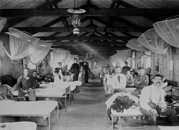 Boer War Photo, L'intérieur d'une salle d'un hôpital militaire en Afrique du Sud. PA-124925
