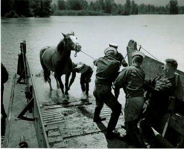 Canadian Sailors Rescue a Horse