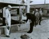 Brooke Claxton Laying Cornerstone, October 1953