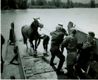 Canadian Sailors Rescue a Horse