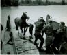 Canadian Sailors Rescue a Horse