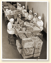 Women workers producing primers - AN19900075-081