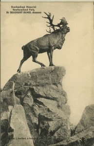 Caribou at Beaumont Hamel