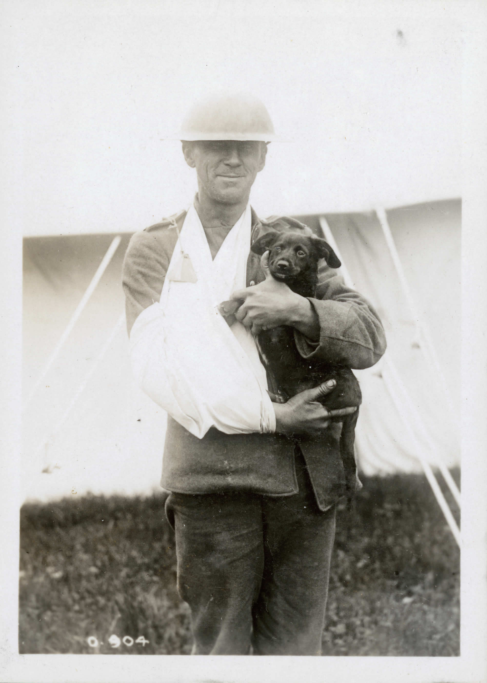 Trench Culture - Mascots and Pets | Canada and the First World War