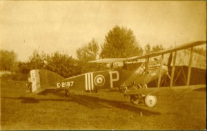 Bristol Fighter Aircraft