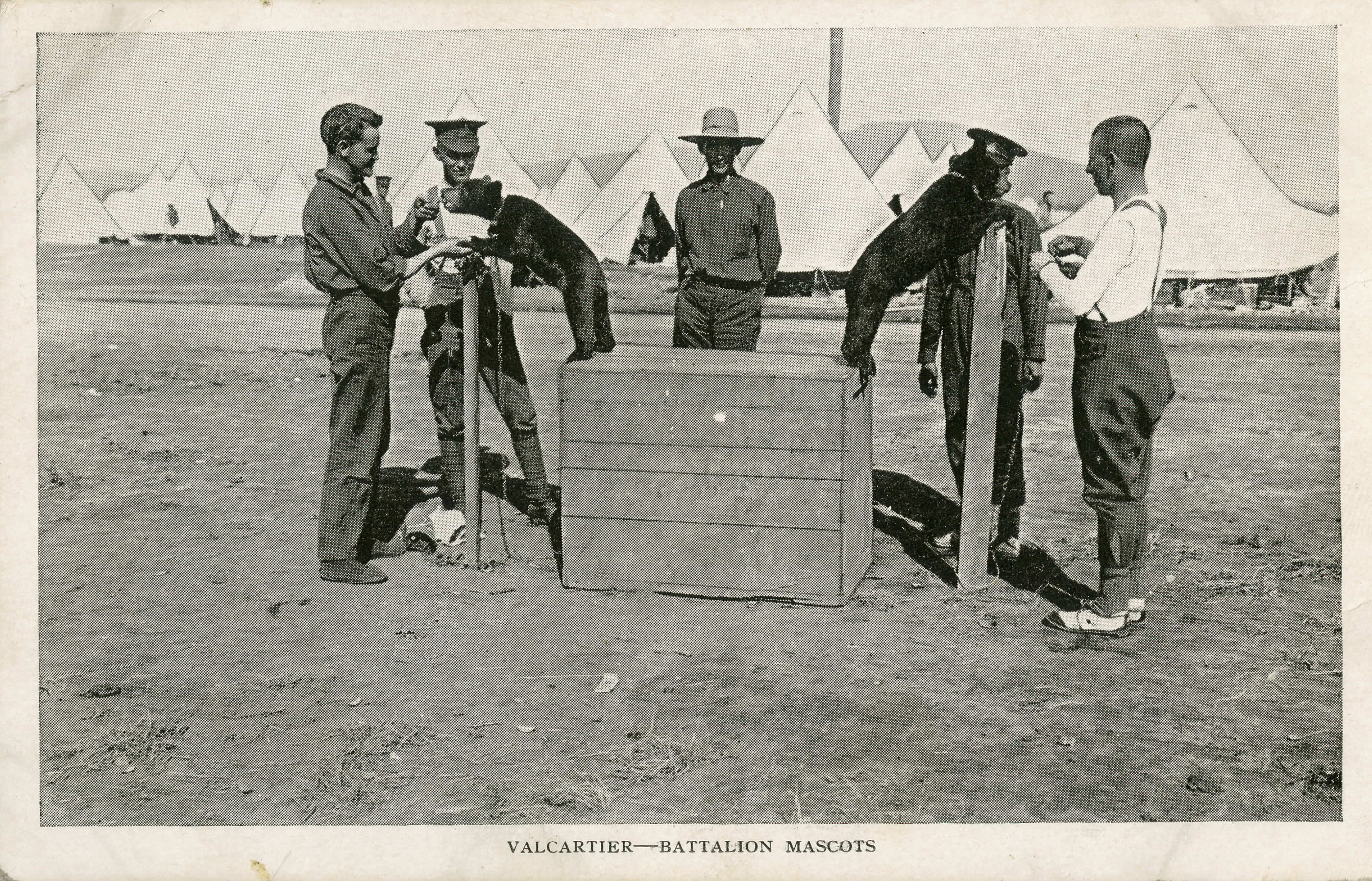 Mascots at Valcartier