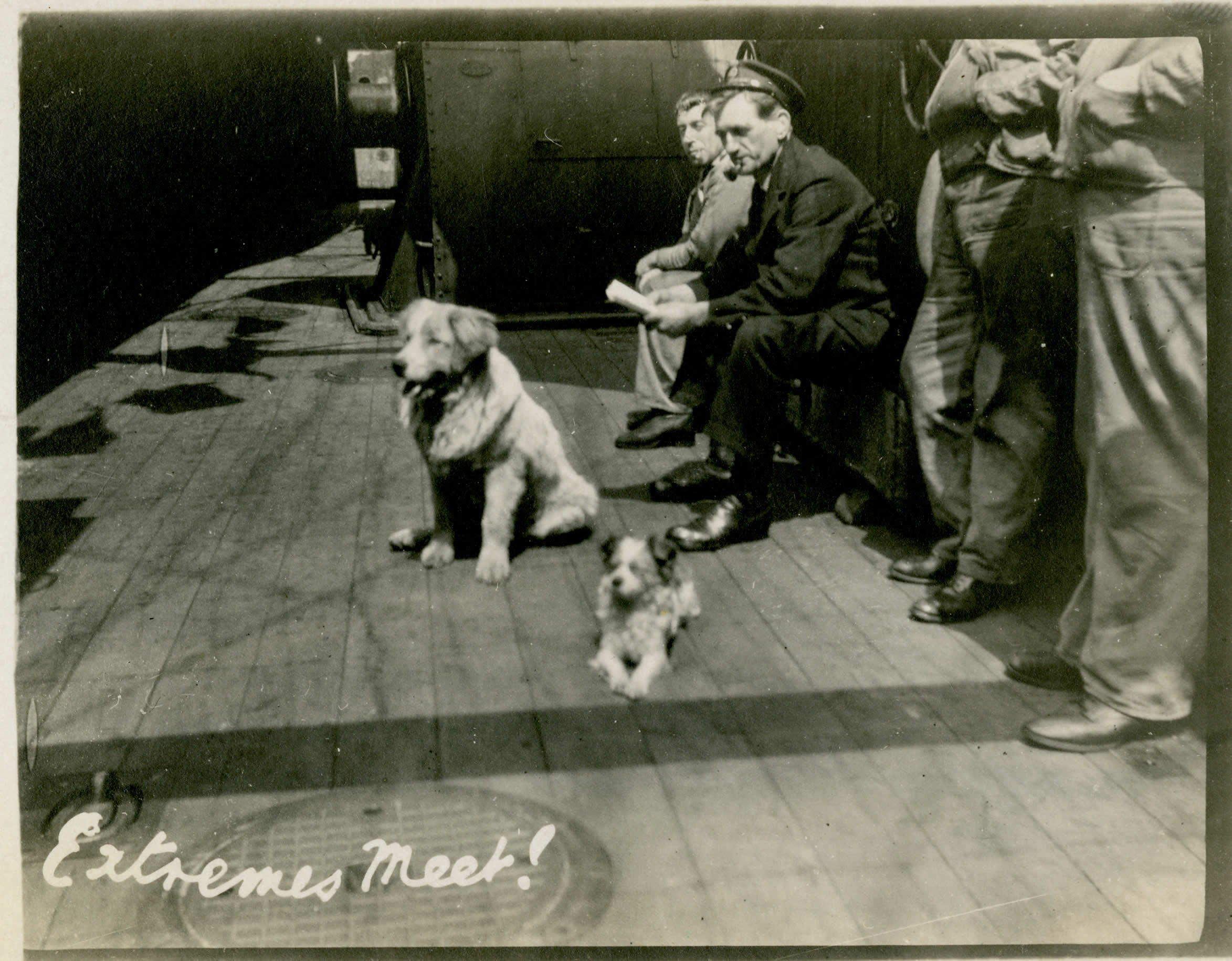 <i>Niobe</i> 's Mascots