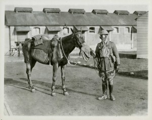 Protecting Soldiers and Horses