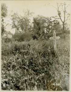 Untended Canadian Graves