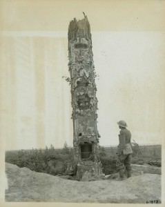 Tree Trunk Observation Post