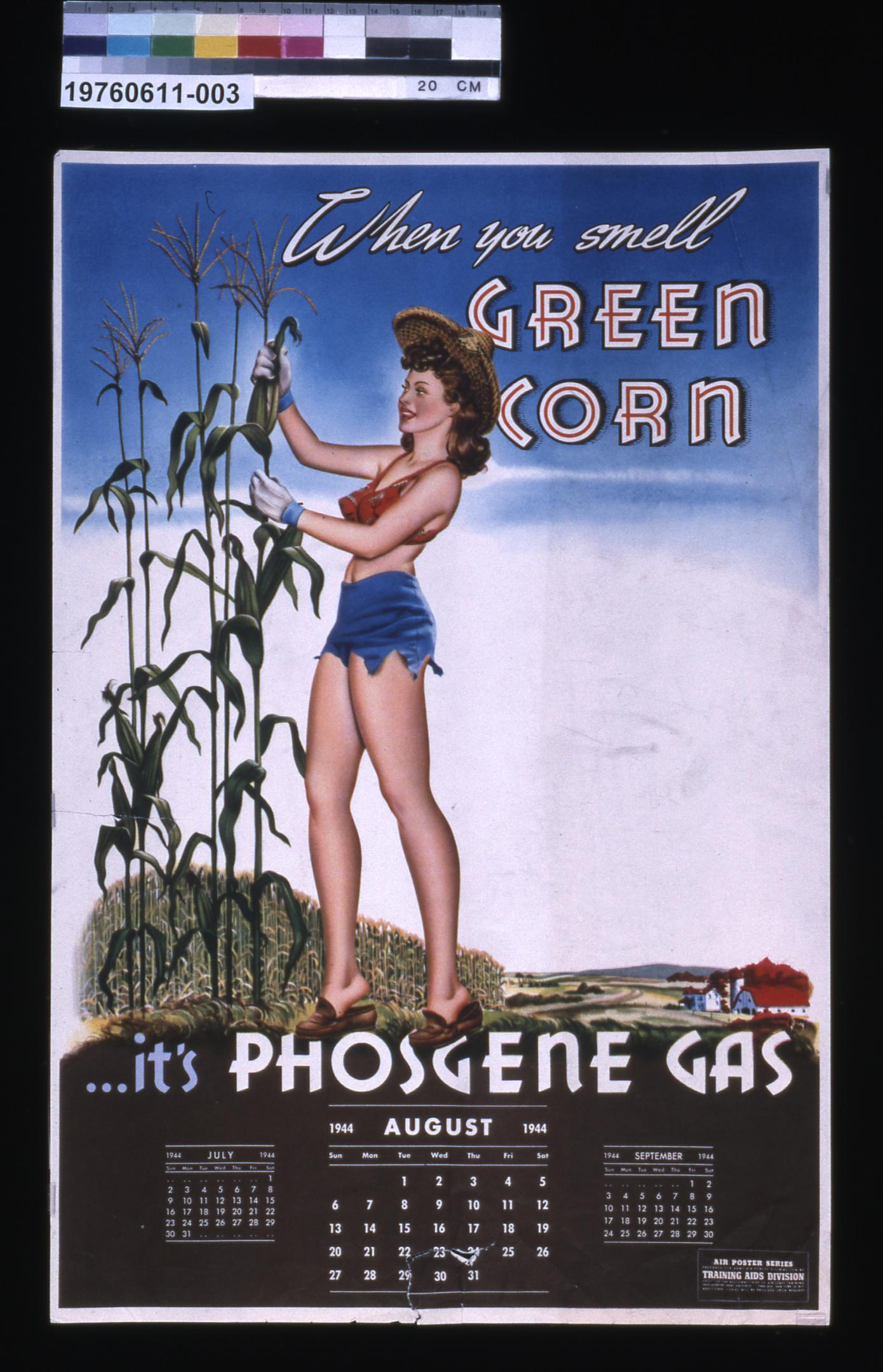 gas warning information poster, When you smell GREEN CORNit's