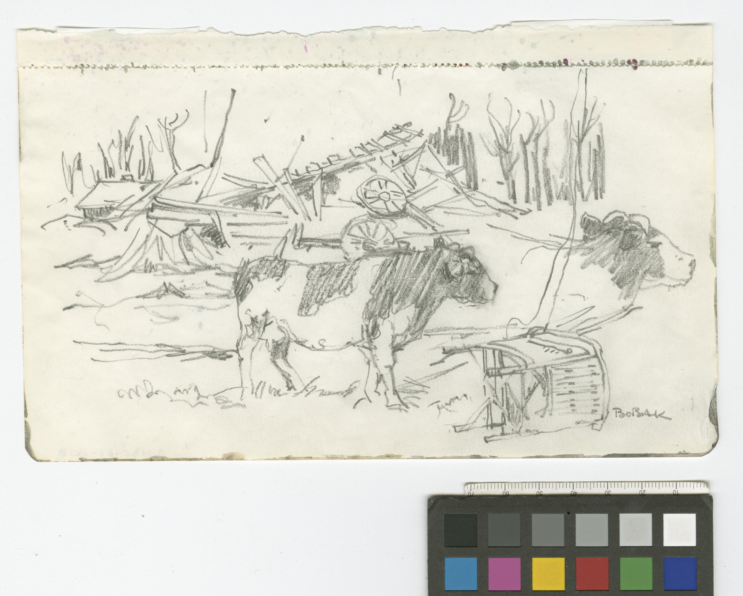 Untitled by Bobak , O.C., Captain Bruno Jacob by Bobak , O.C., Captain Bruno Jacob