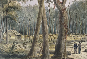 Ferme établie dans une forêt près de Chatham, 1838