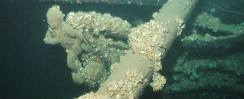 Hamilton and Scourge: Archaeological Exploration of Two War of 1812