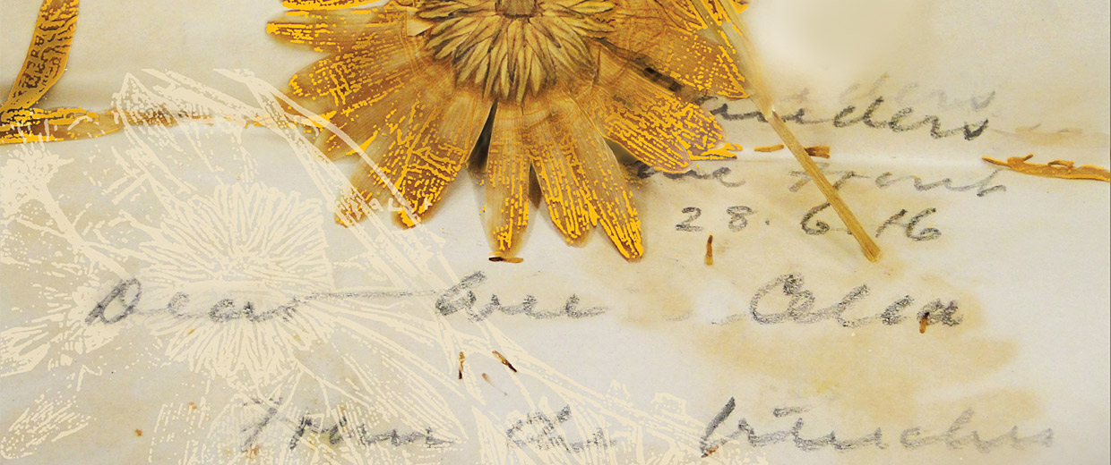 WAR Flowers A Touring Art Exhibition Canadian War Museum