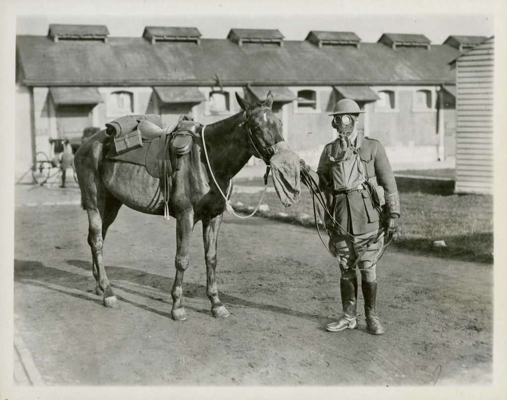 A uniformed man wearing a gas mask holds the lead of a horse, also wearing a gas mask.