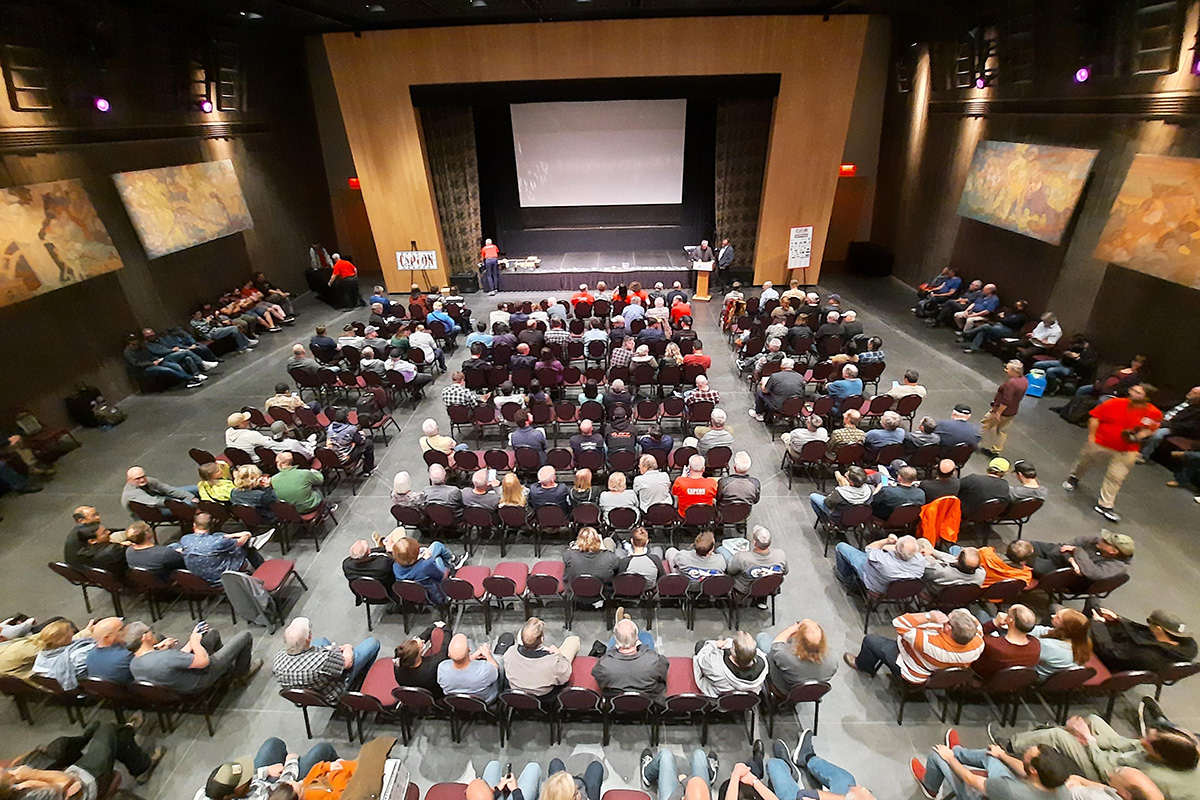 Audience in a theatre