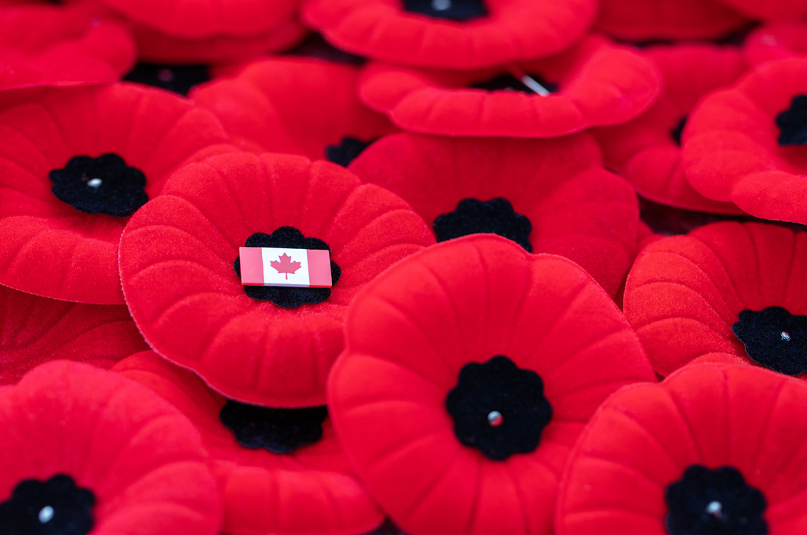 Poppies