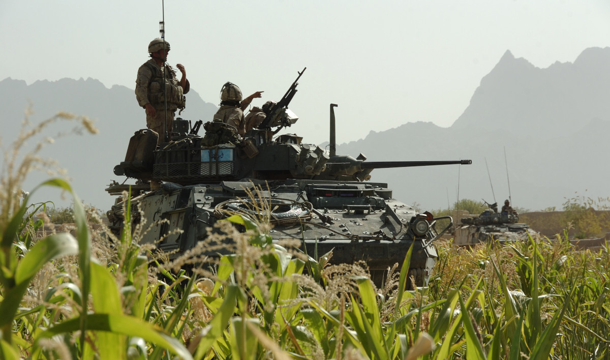 An armoured vehicle with crew members atop it, in the middle of and partly hidden by corn.
